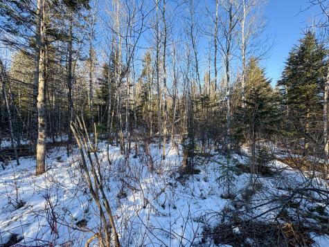 M2l24b Mcintyre Road Woodland ME 04736