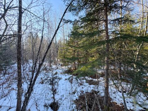 M2l24b Mcintyre Road Woodland ME 04736