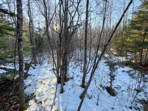 M2l24b Mcintyre Road Woodland ME 04736