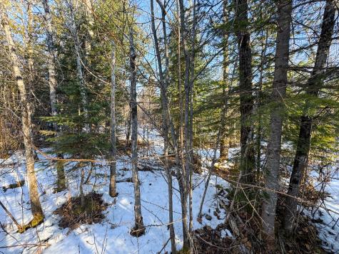 M2l24b Mcintyre Road Woodland ME 04736