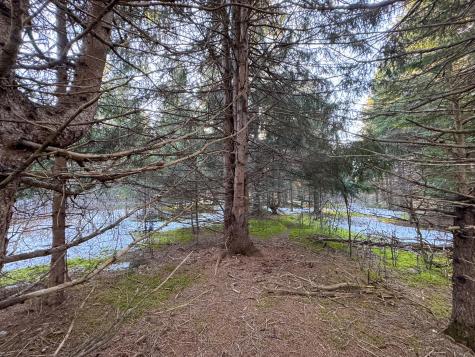 M2l24b Mcintyre Road Woodland ME 04736