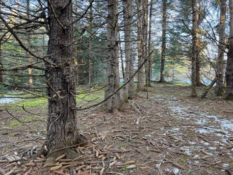 M2l24b Mcintyre Road Woodland ME 04736