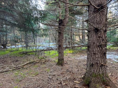 M2l24b Mcintyre Road Woodland ME 04736