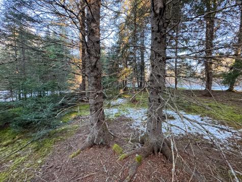 M2l24b Mcintyre Road Woodland ME 04736