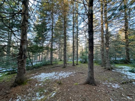 M2l24b Mcintyre Road Woodland ME 04736