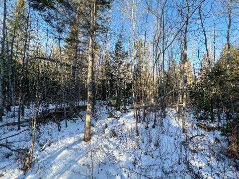 M2l24b Mcintyre Road Woodland ME 04736