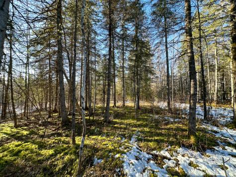 M2l24b Mcintyre Road Woodland ME 04736