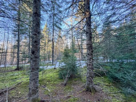 M2l24b Mcintyre Road Woodland ME 04736