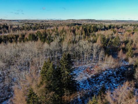 M2l24b Mcintyre Road Woodland ME 04736
