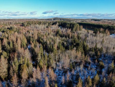 M2l24b Mcintyre Road Woodland ME 04736