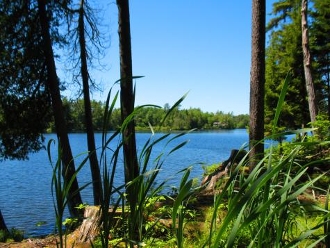 10-6 Vista Way Mount Desert ME 04660