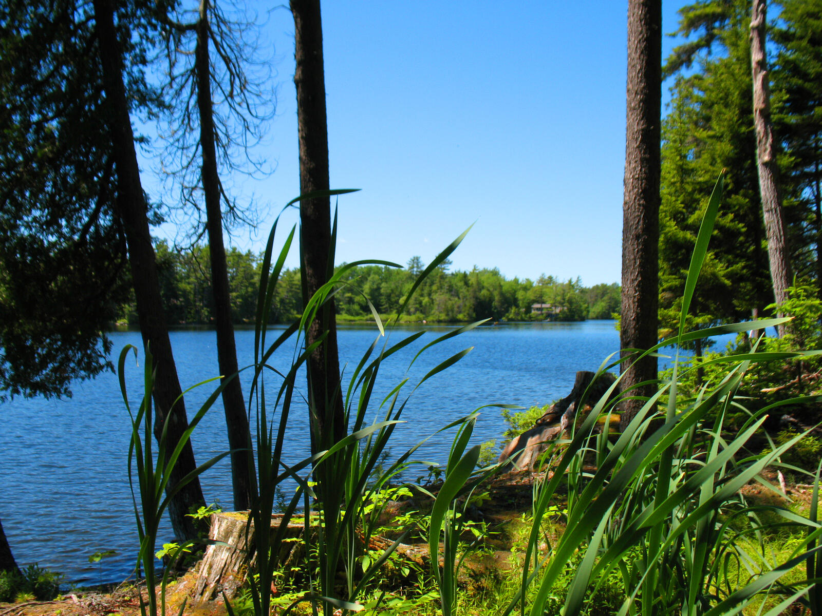 10-6 Vista Way Mount Desert ME 04660