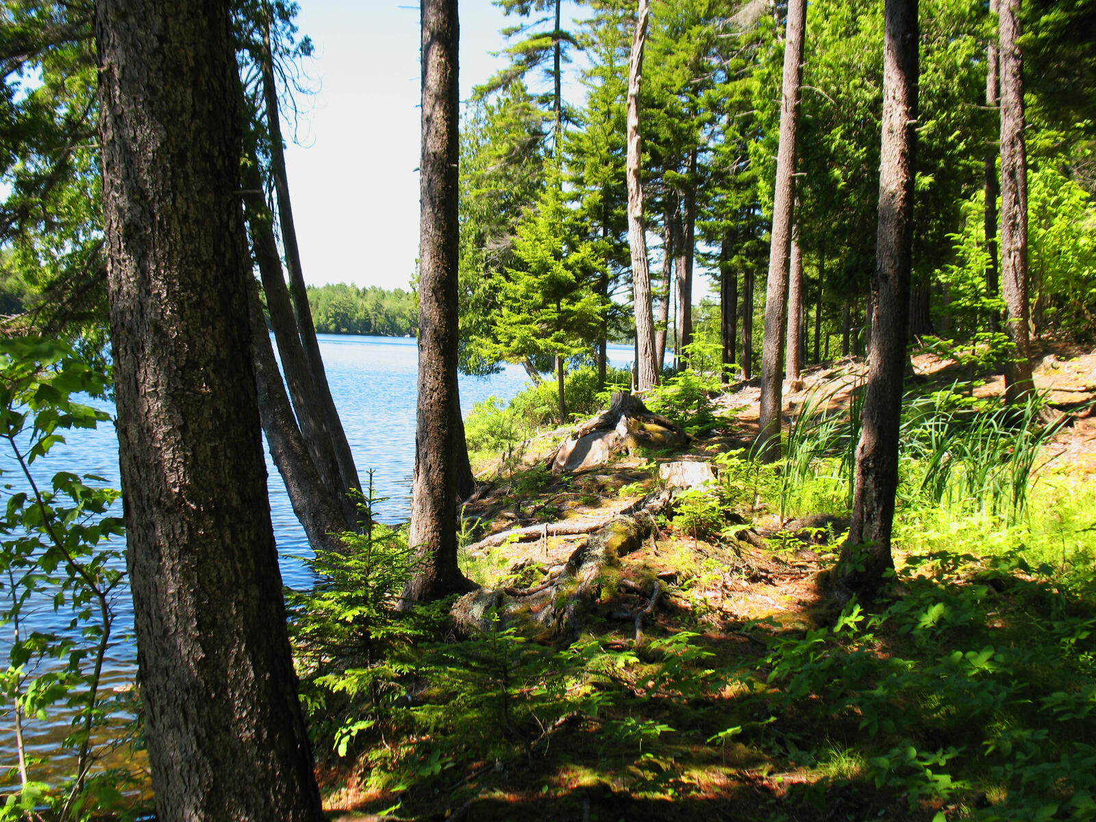 10-6 Vista Way Mount Desert ME 04660