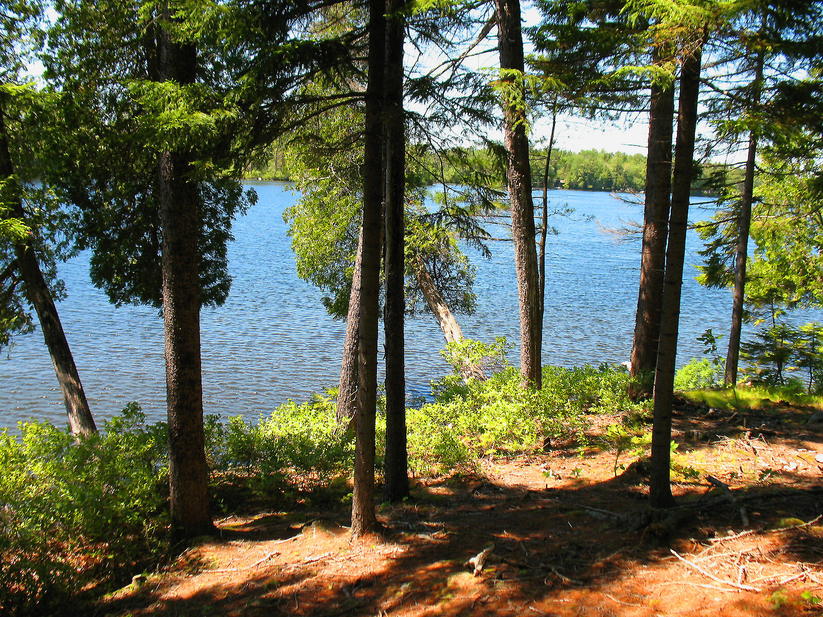 10-6 Vista Way Mount Desert ME 04660