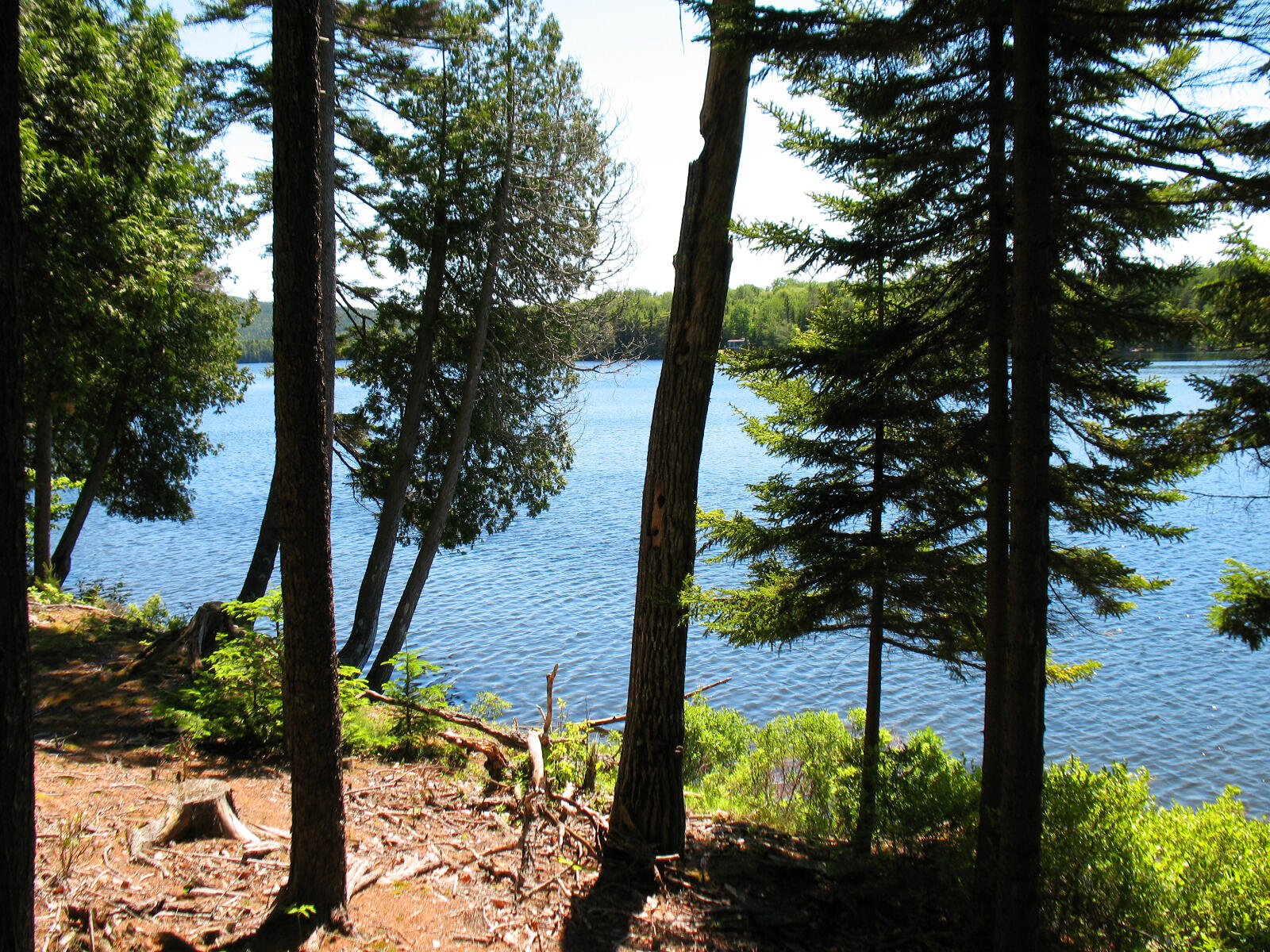 10-6 Vista Way Mount Desert ME 04660