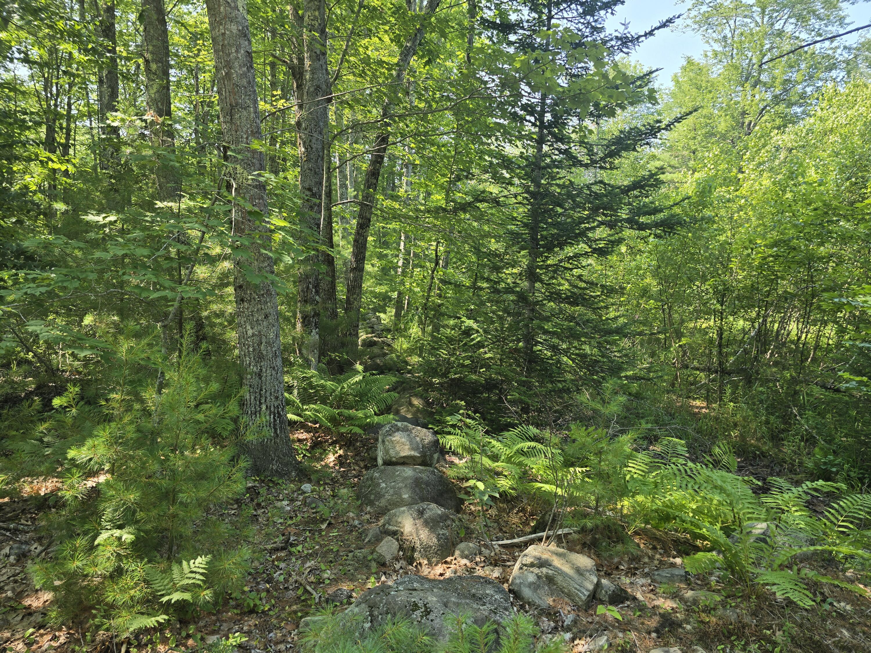 00 Head Tide Hill Road Alna ME 04535