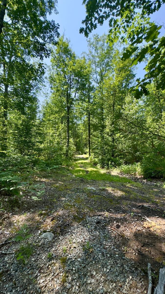 00 Head Tide Hill Road Alna ME 04535