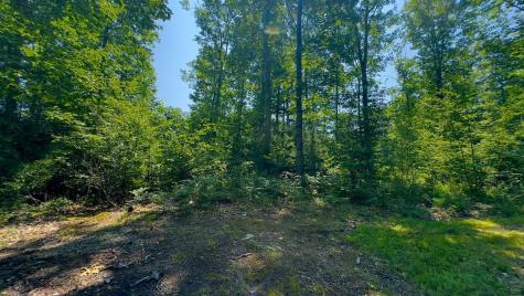 00 Head Tide Hill Road Alna ME 04535