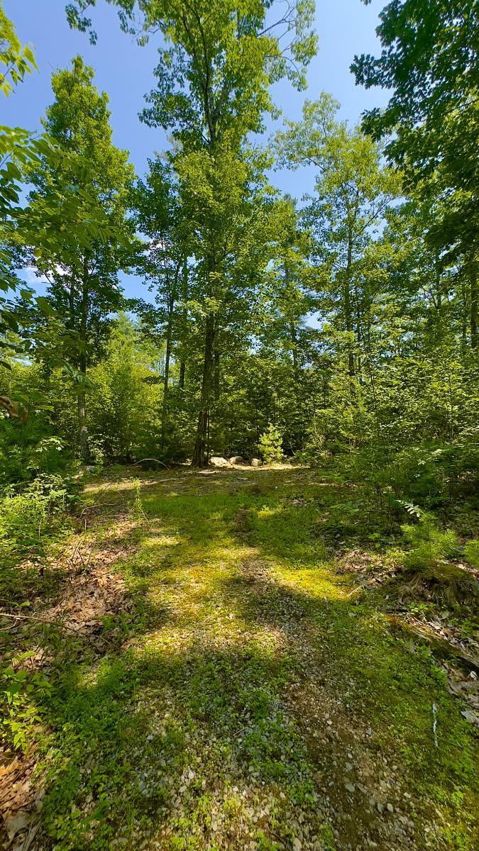 00 Head Tide Hill Road Alna ME 04535