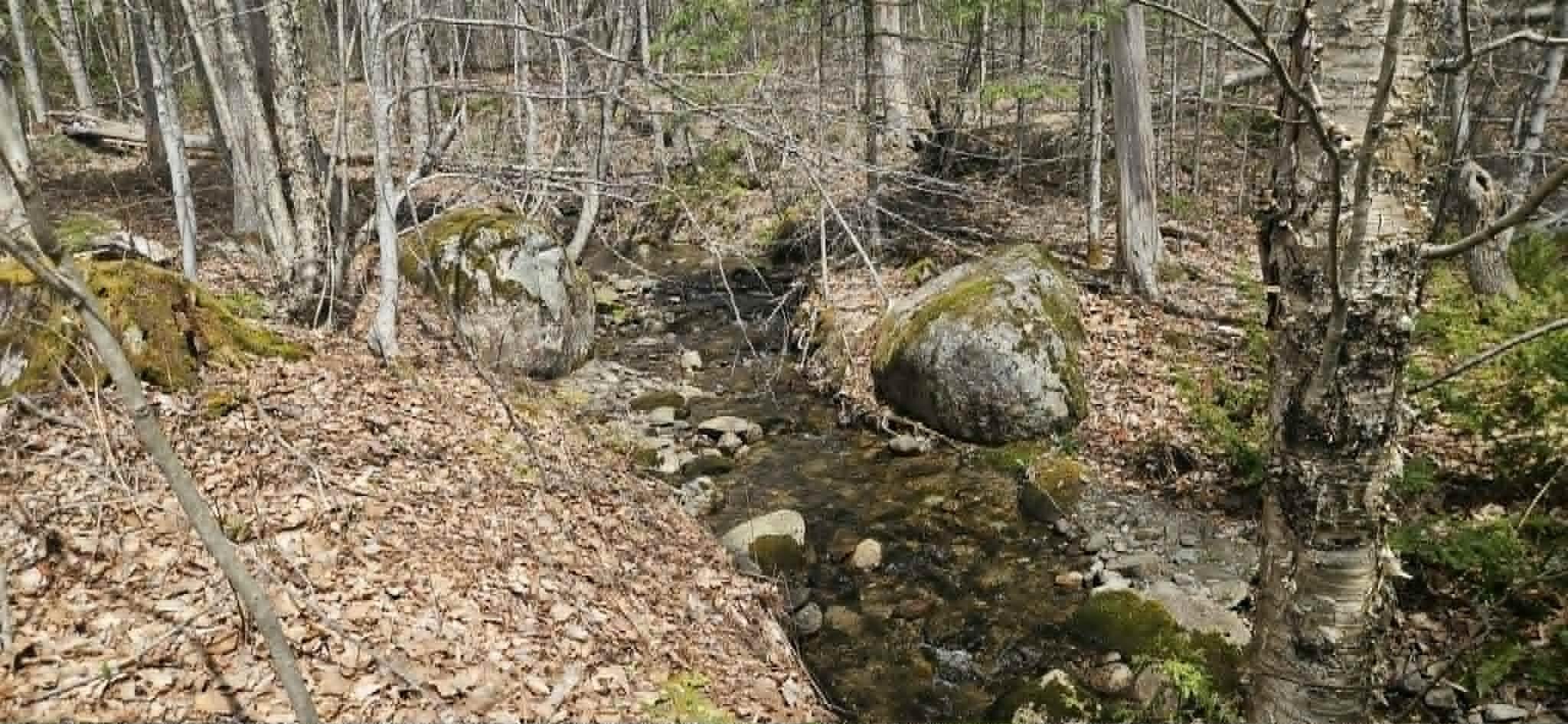 211 Loon Cove Road Hartland ME 04943