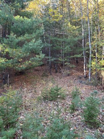 M15 L23 Varnumville Road Brooksville ME 04617