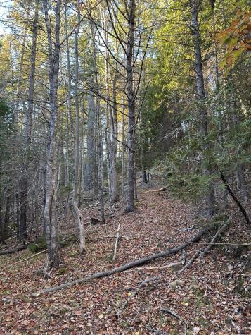 M15 L23 Varnumville Road Brooksville ME 04617