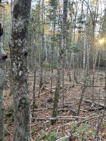 M15 L23 Varnumville Road Brooksville ME 04617