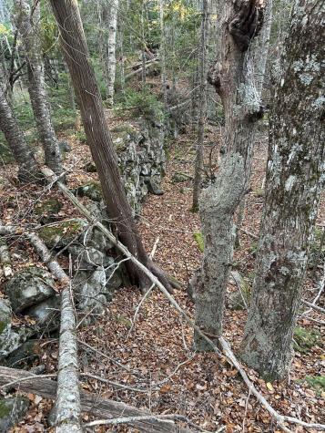 M15 L23 Varnumville Road Brooksville ME 04617