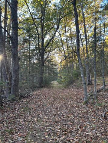 M15 L23 Varnumville Road Brooksville ME 04617