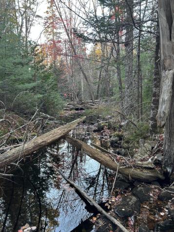 M15 L23 Varnumville Road Brooksville ME 04617