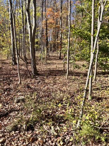 90 Orchard Hill Road Temple ME 04294