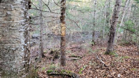 Lot 11 Fox Run Mariaville ME 04605