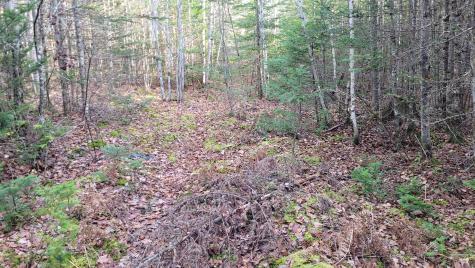 Lot 11 Fox Run Mariaville ME 04605