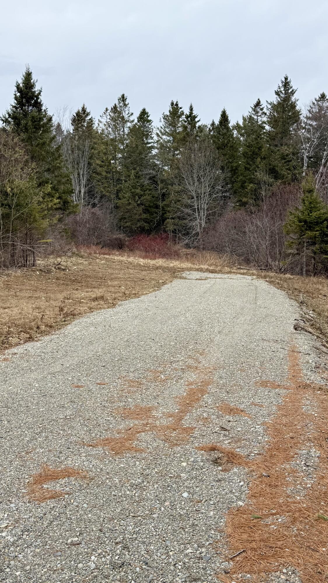 Lot # Meadow Road Winterport ME 04496