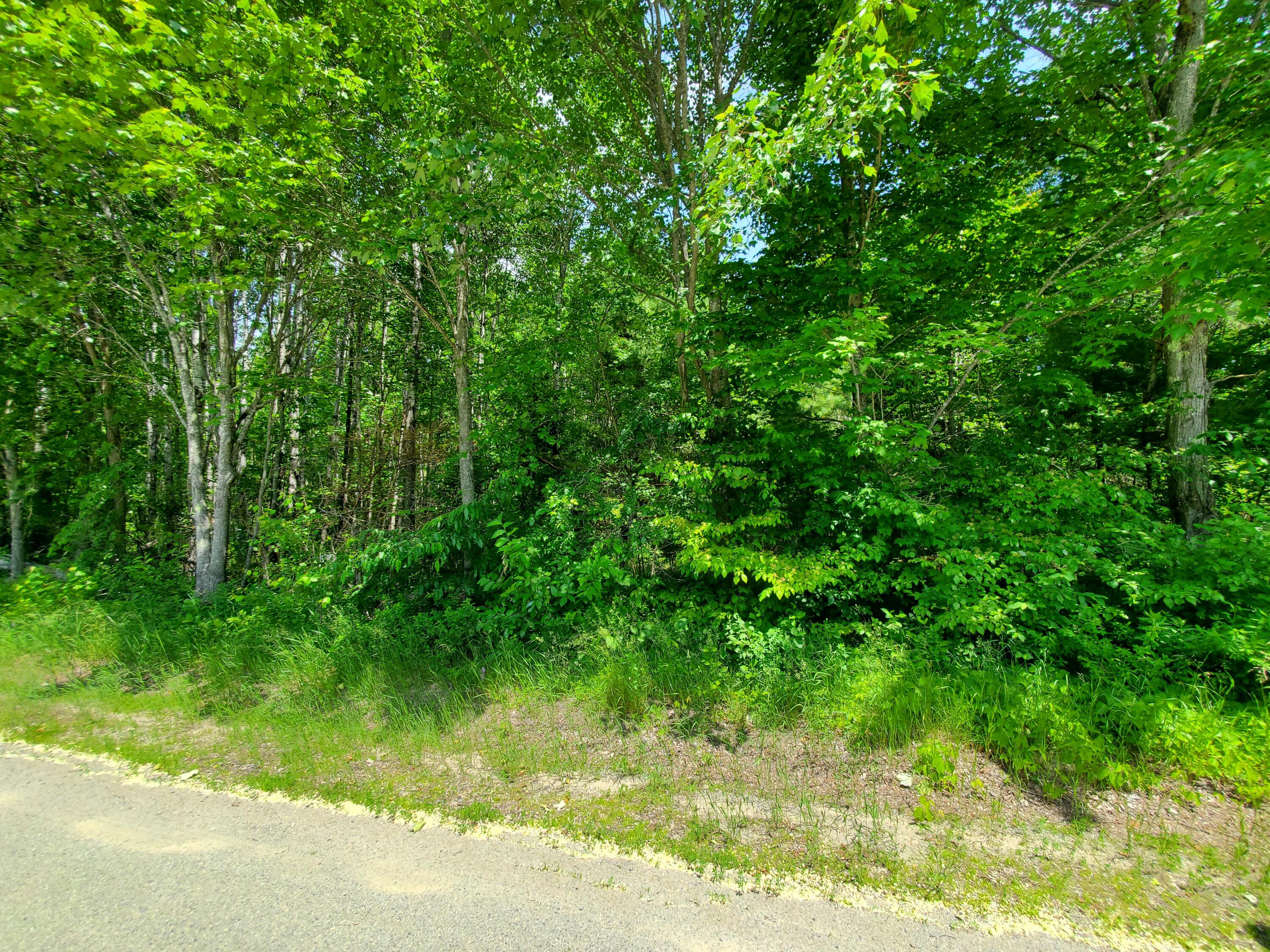 M 5 Lot 40 Morgan Road Burnham ME 04922
