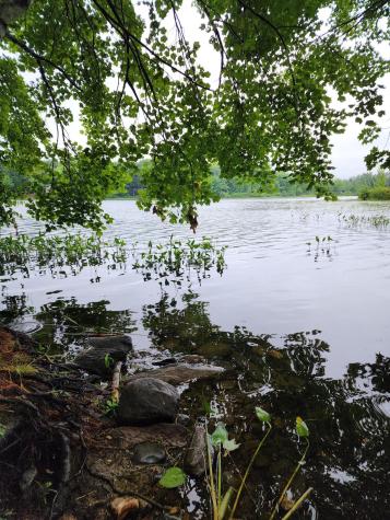 13 Oak Street Liberty ME 04949