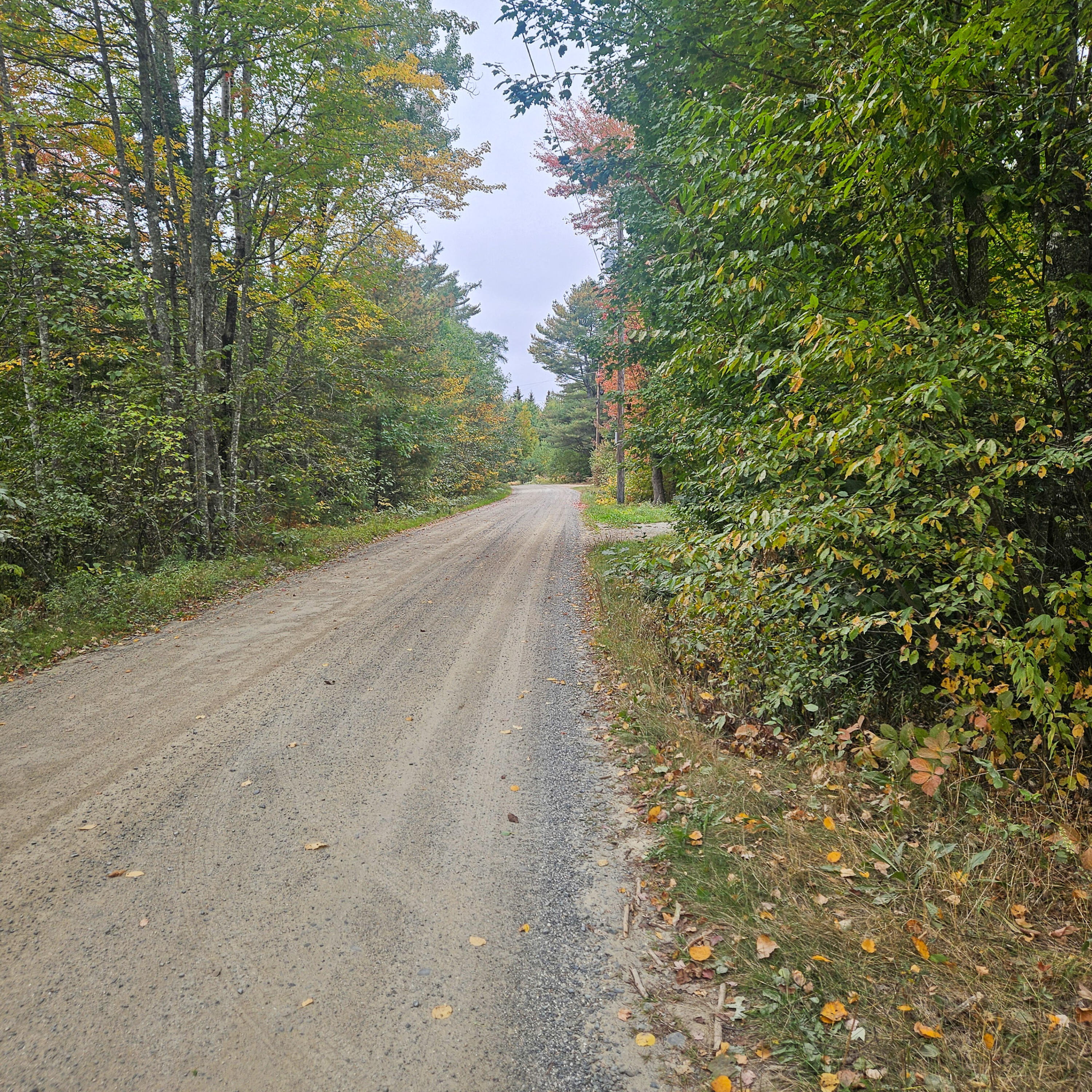 206 Morrison Farm Road Mariaville ME 04605