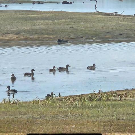 206 Morrison Farm Road Mariaville ME 04605