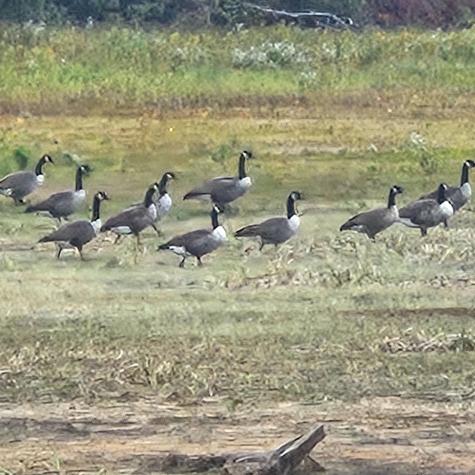 206 Morrison Farm Road Mariaville ME 04605