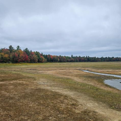 206 Morrison Farm Road Mariaville ME 04605