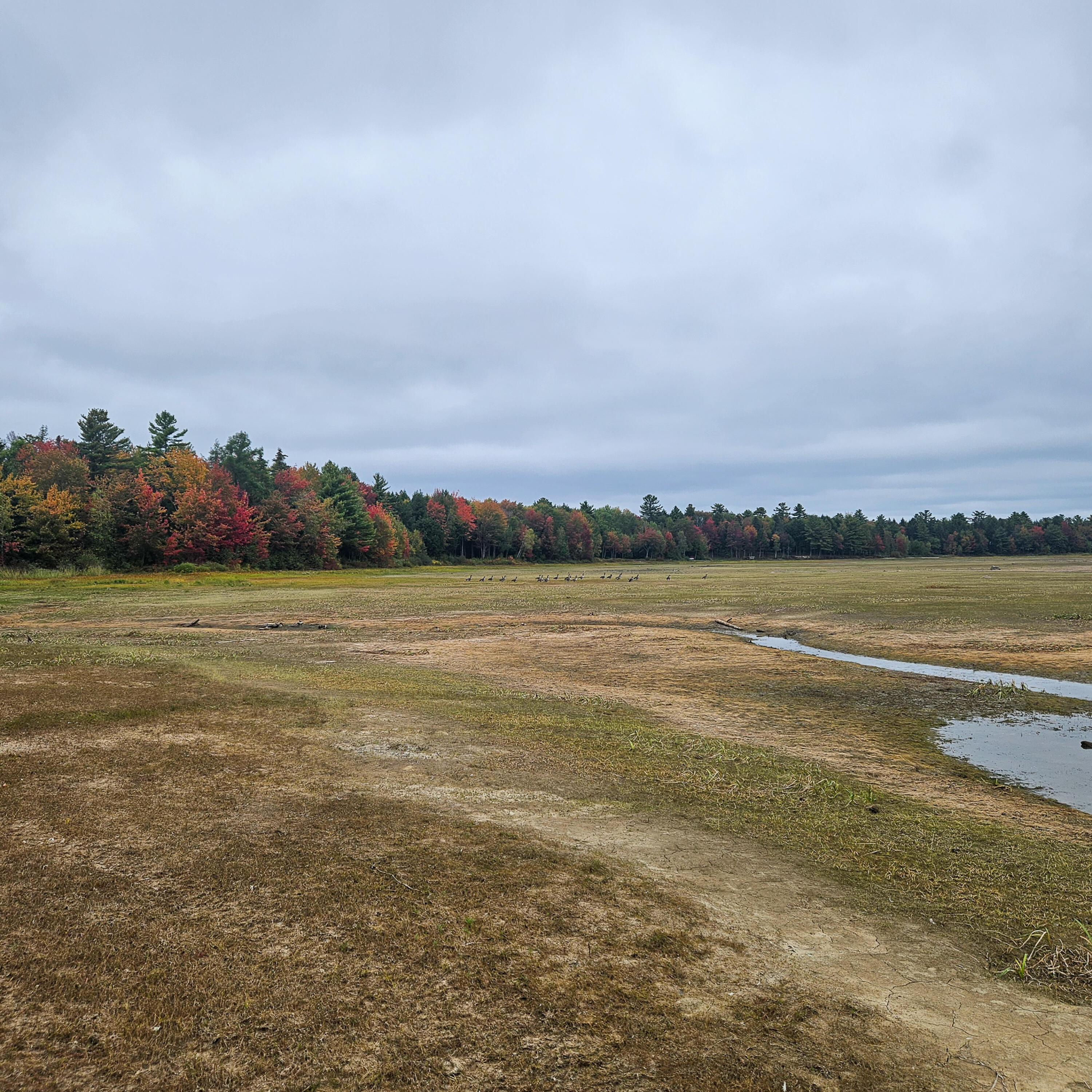 206 Morrison Farm Road Mariaville ME 04605