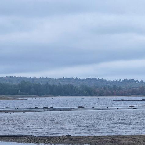 206 Morrison Farm Road Mariaville ME 04605