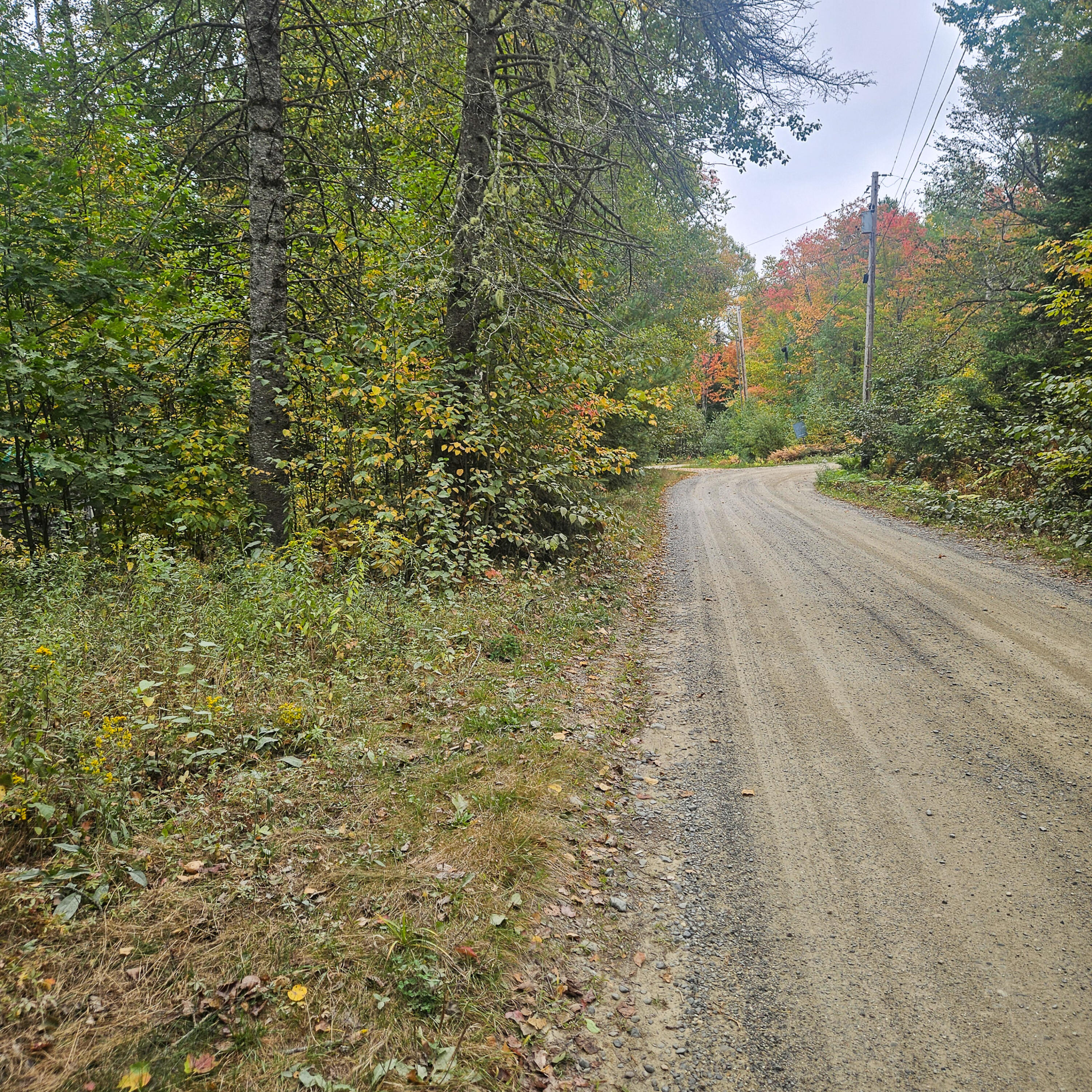 206 Morrison Farm Road Mariaville ME 04605