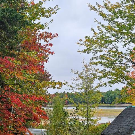 206 Morrison Farm Road Mariaville ME 04605