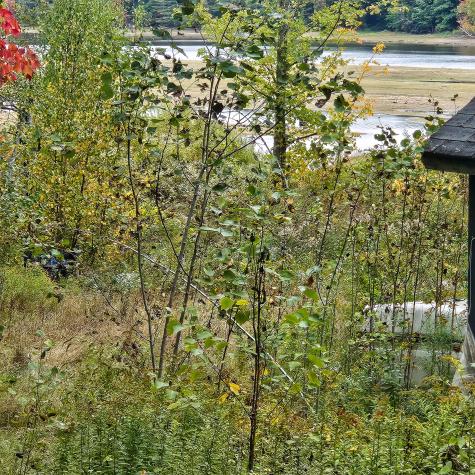 206 Morrison Farm Road Mariaville ME 04605