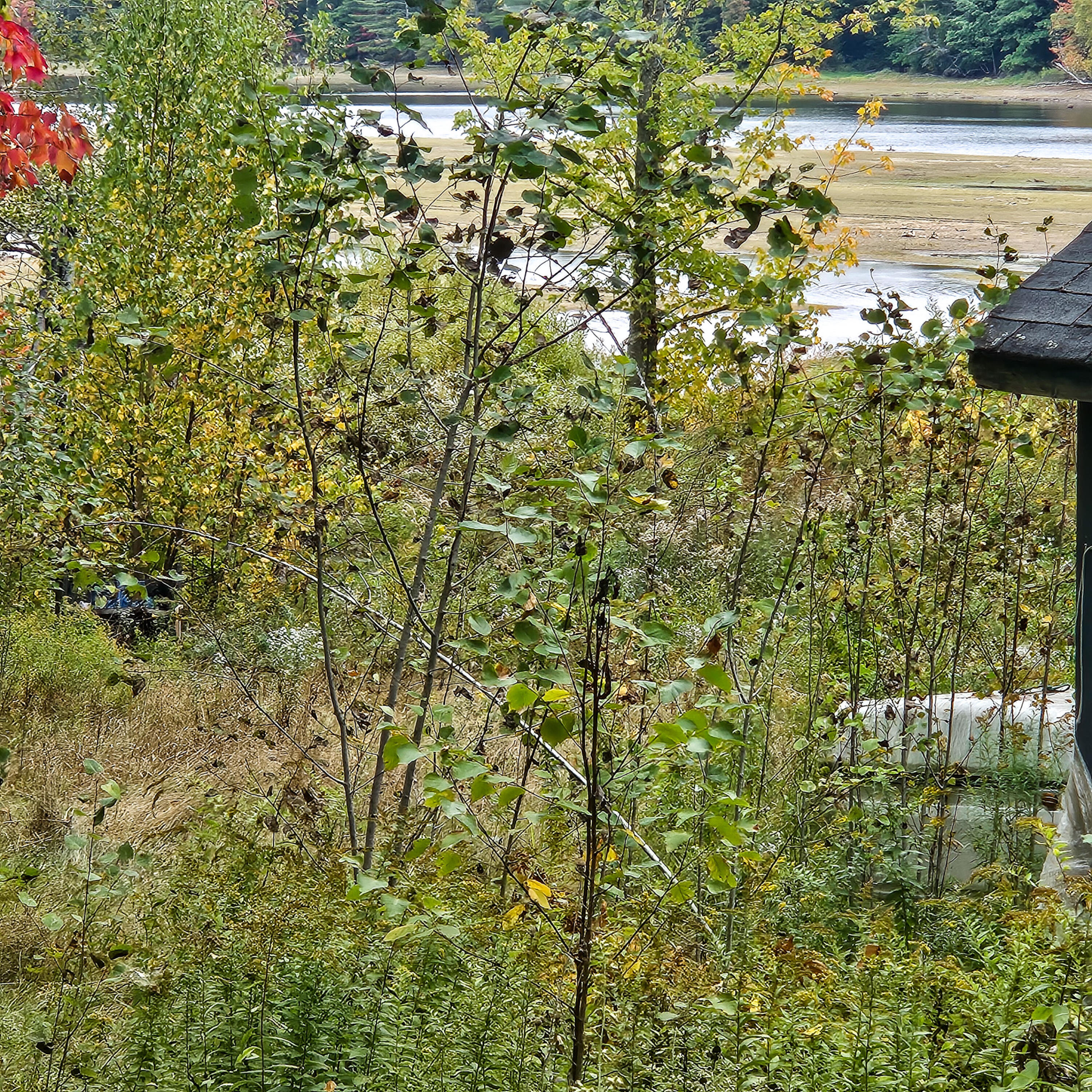 206 Morrison Farm Road Mariaville ME 04605