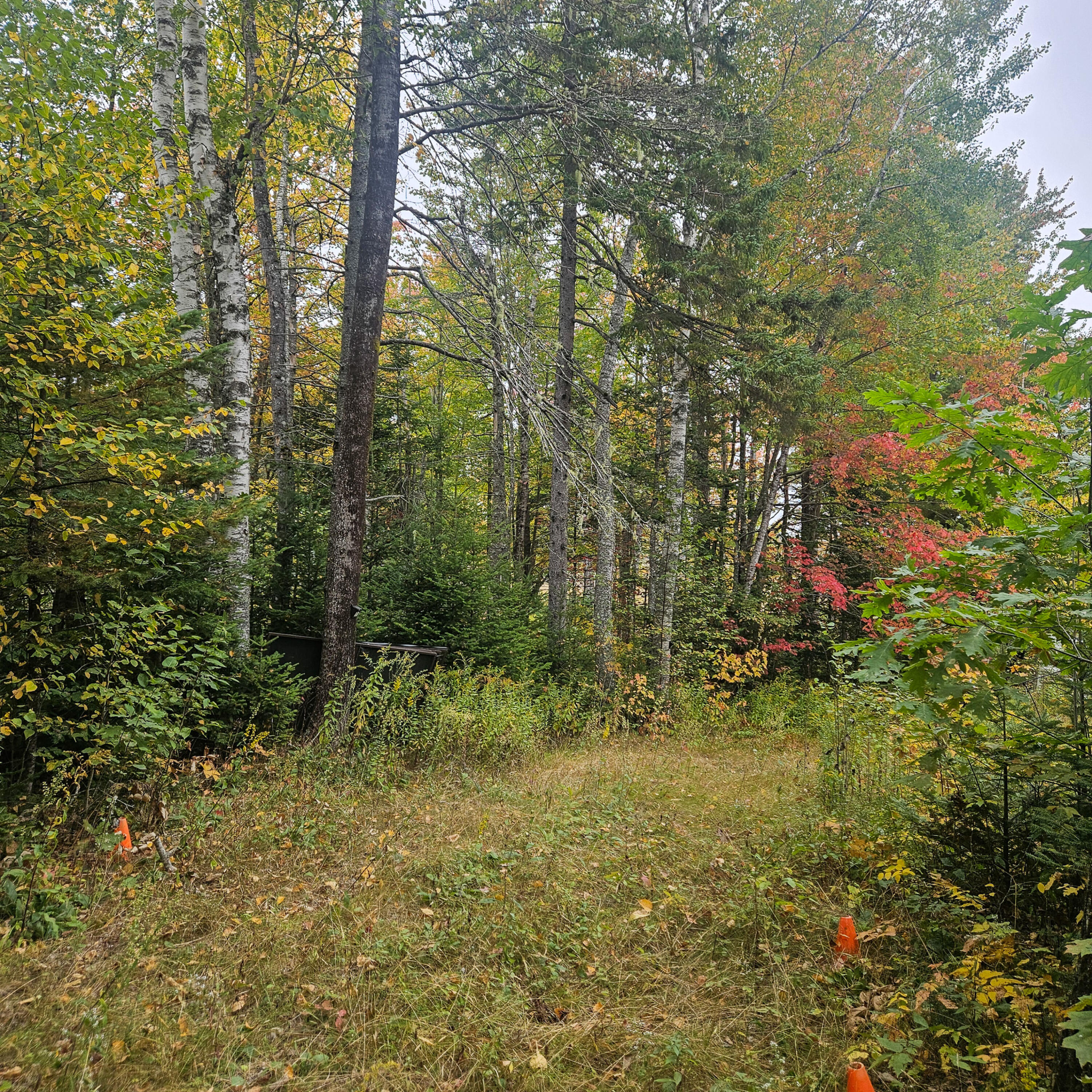 206 Morrison Farm Road Mariaville ME 04605
