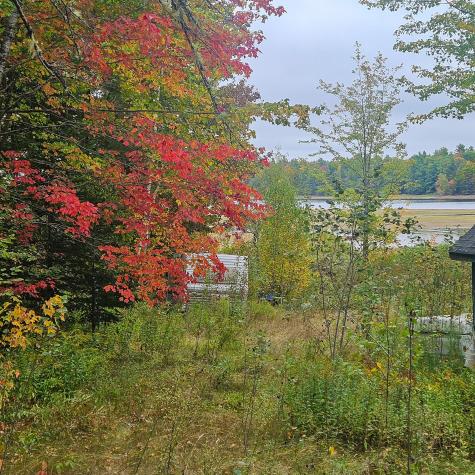 206 Morrison Farm Road Mariaville ME 04605