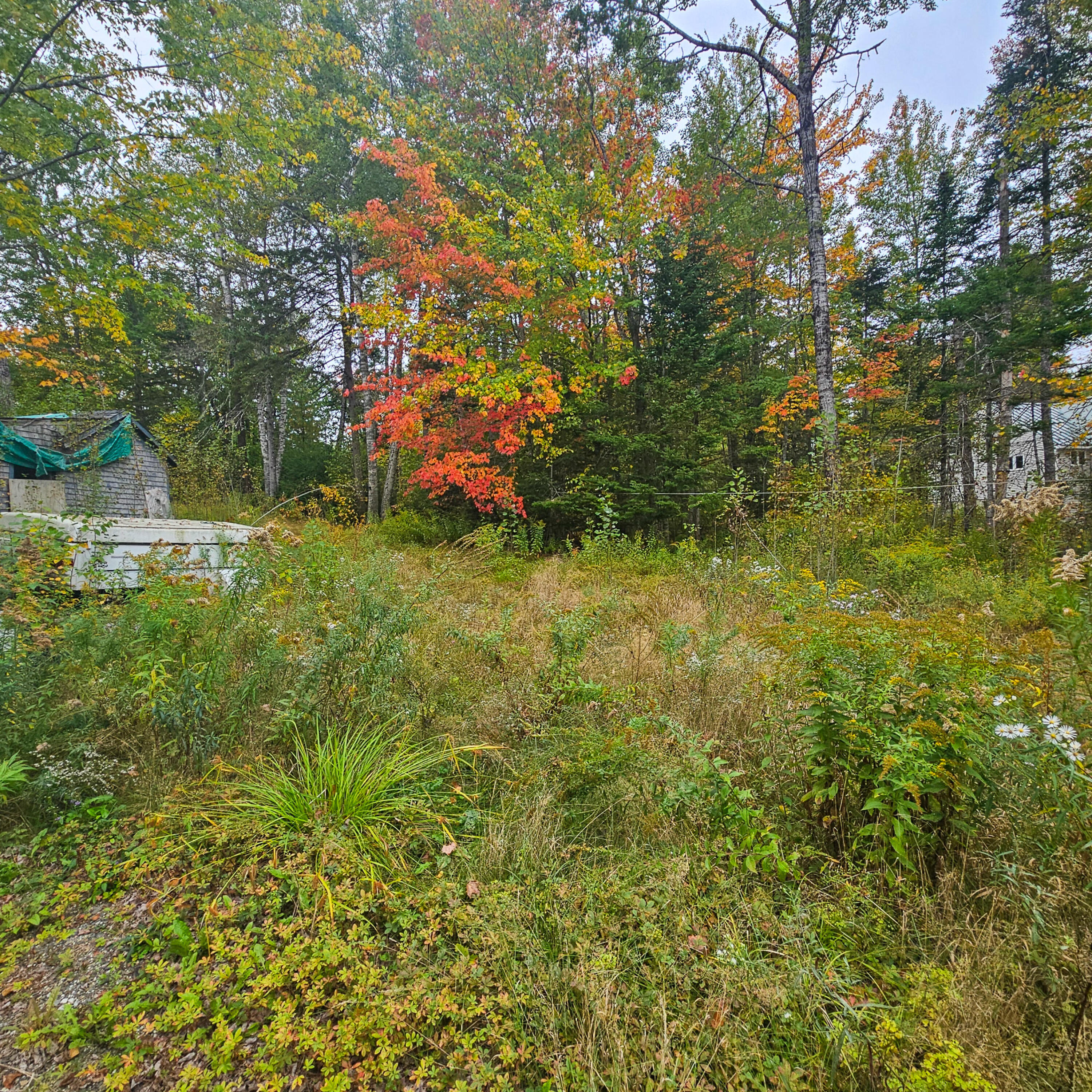 206 Morrison Farm Road Mariaville ME 04605
