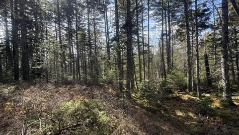 Lot 6&66 Woods Road Deer Isle ME 04627